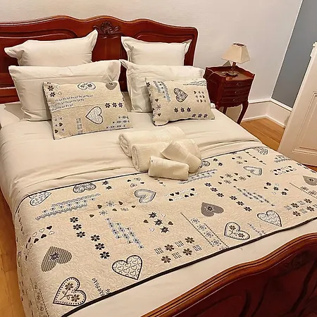 De La Semm - Iconique A Avec Parking * Colmar