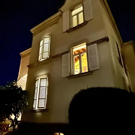 Apartment De La Semm - Iconique A Avec Parking Colmar